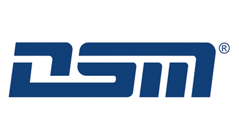 DSMLogo2